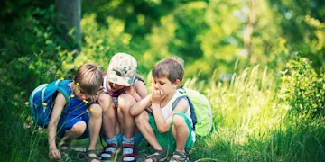 Creepy Crawlies: At Home Activity