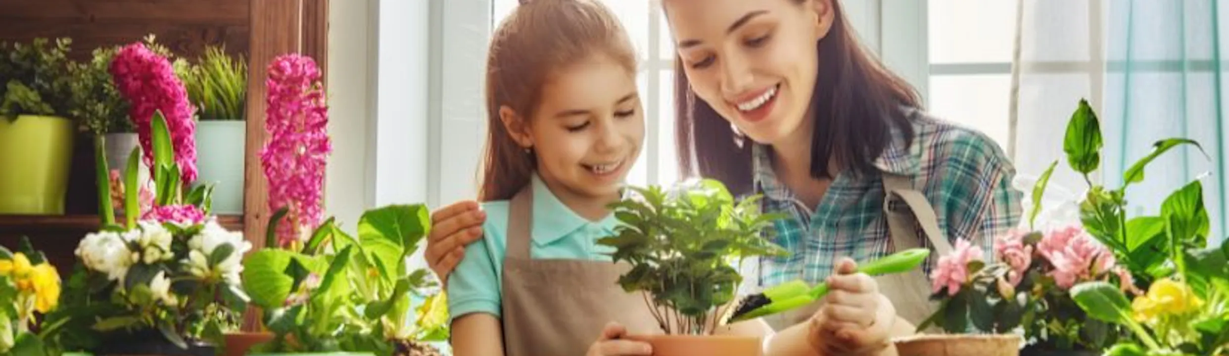 Leap Into Spring-Themed Educational Activities | Little Sunshine's