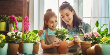 Leap Into Spring-Themed Educational Activities