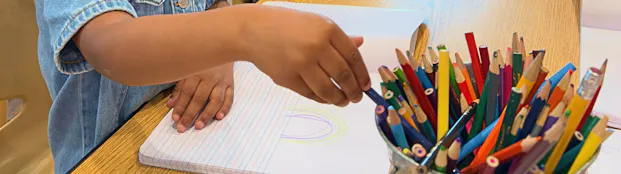 Early literacy activities and early literacy books are the best way to spark your child's lifelong love of reading!